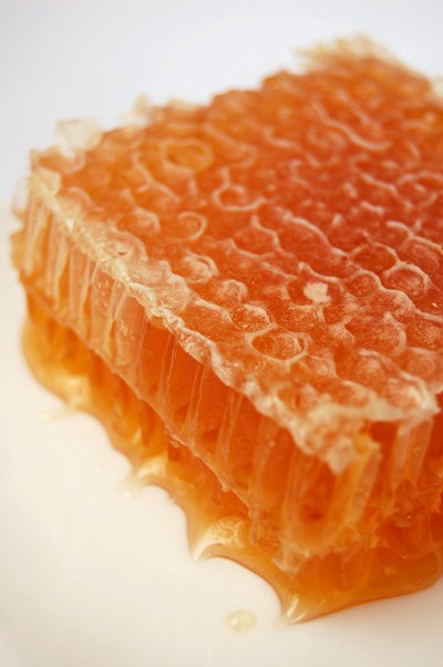  Filtering Raw Honey Meadows Astatula FL